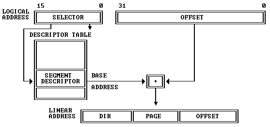Segment translation