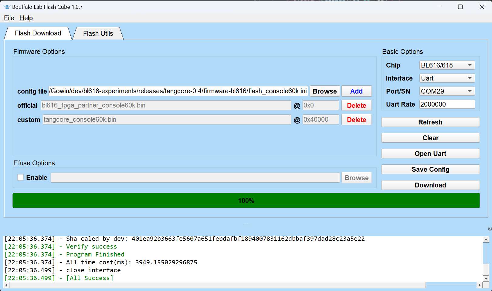 Firmware Flash Success